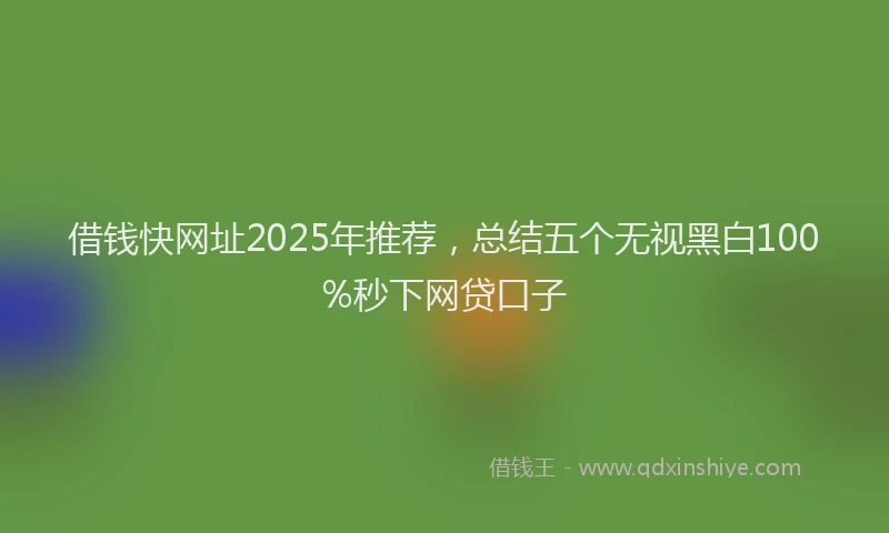 借钱快网址2025年推荐，总结五个无视黑白100%秒下网贷口子