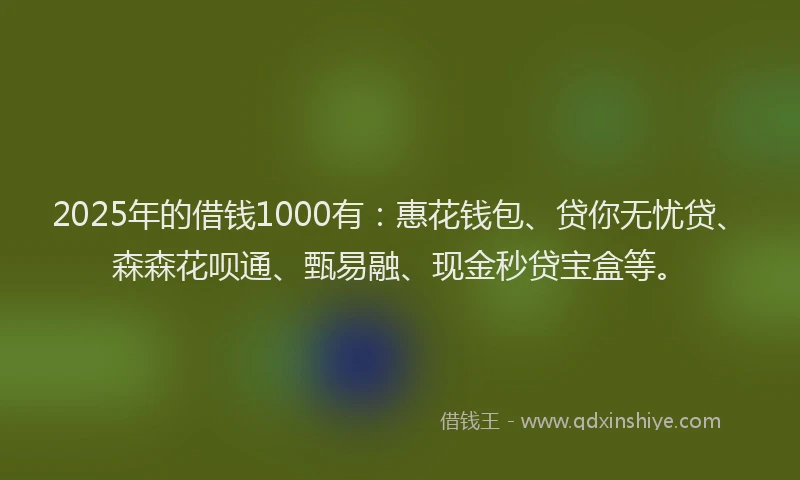 2025年的借钱1000有：惠花钱包、贷你无忧贷、森森花呗通、甄易融、现金秒贷宝盒等。