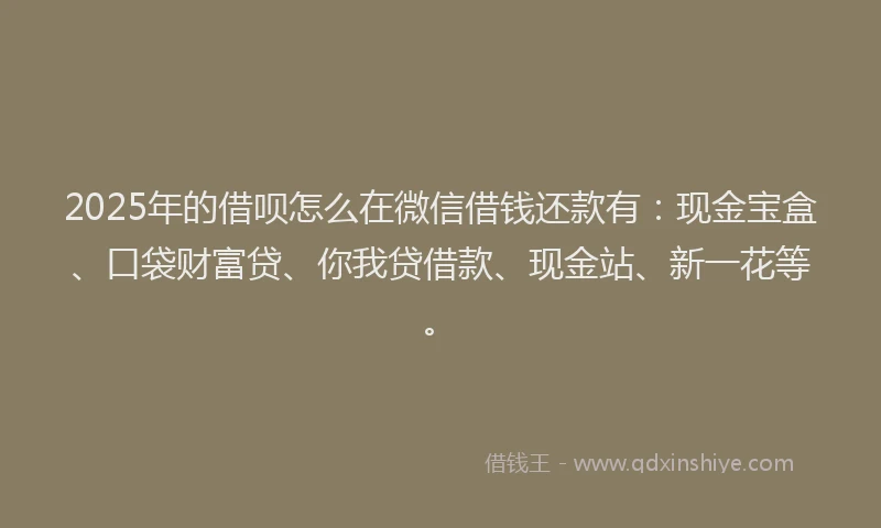 2025年的借呗怎么在微信借钱还款有：现金宝盒、口袋财富贷、你我贷借款、现金站、新一花等。
