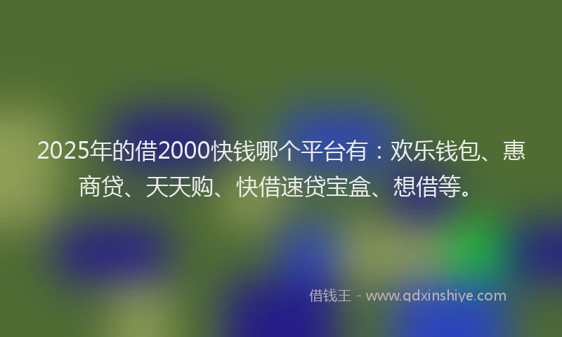 2025年的借2000快钱哪个平台有：欢乐钱包、惠商贷、天天购、快借速贷宝盒、想借等。