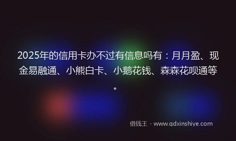 2025年的信用卡办不过有信息吗有：月月盈、现金易融通、小熊白卡、小鹅花钱、森森花呗通等。