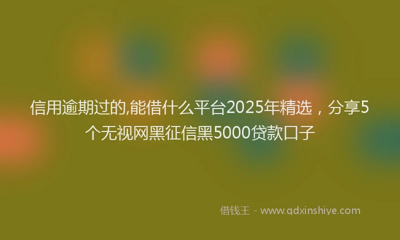 信用逾期过的,能借什么平台2025年精选，分享5个无视网黑征信黑5000贷款口子
