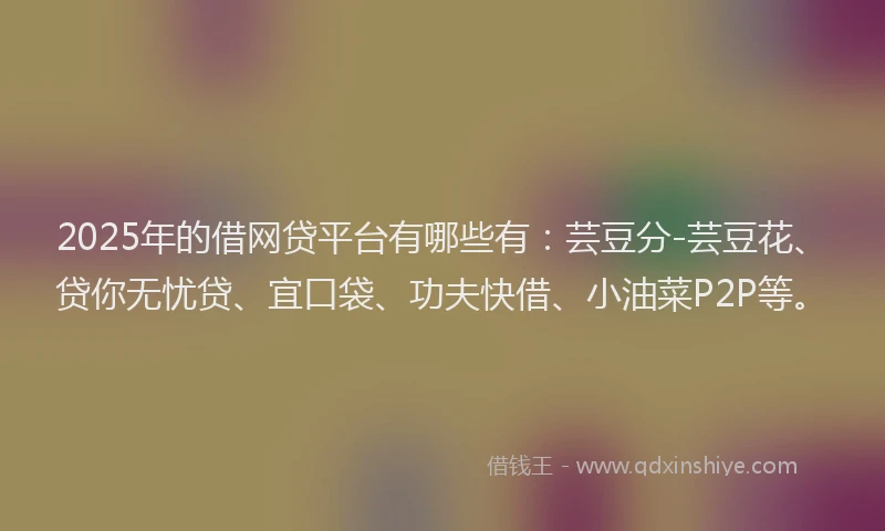2025年的借网贷平台有哪些有：芸豆分-芸豆花、贷你无忧贷、宜口袋、功夫快借、小油菜P2P等。
