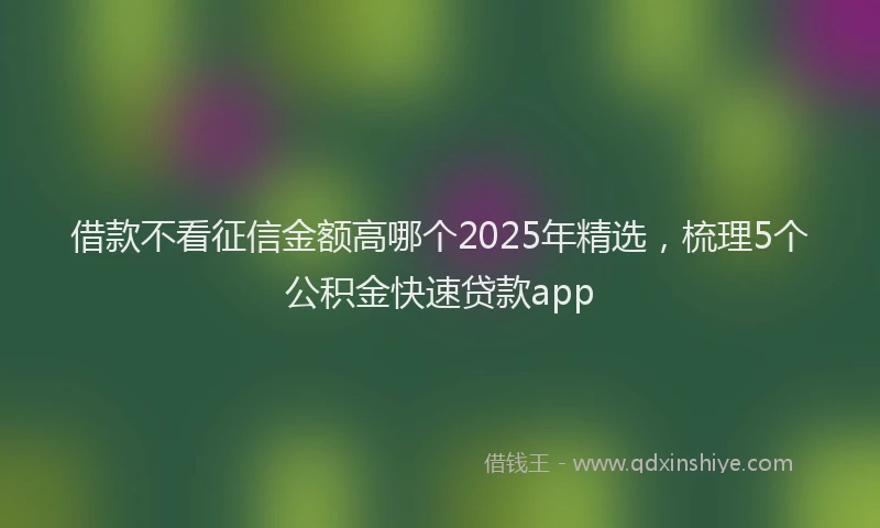 借款不看征信金额高哪个2025年精选，梳理5个公积金快速贷款app