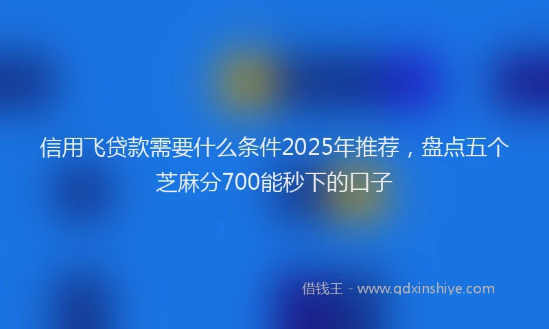 信用飞贷款需要什么条件2025年推荐，盘点五个芝麻分700能秒下的口子