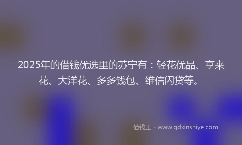 2025年的借钱优选里的苏宁有：轻花优品、享来花、大洋花、多多钱包、维信闪贷等。