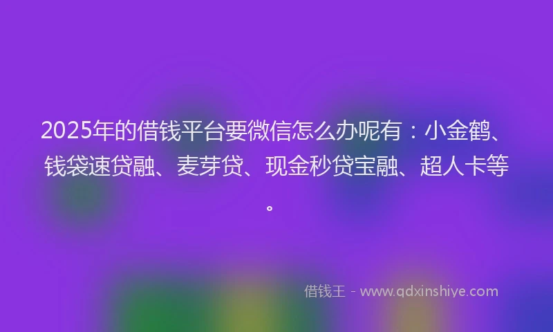 2025年的借钱平台要微信怎么办呢有：小金鹤、钱袋速贷融、麦芽贷、现金秒贷宝融、超人卡等。