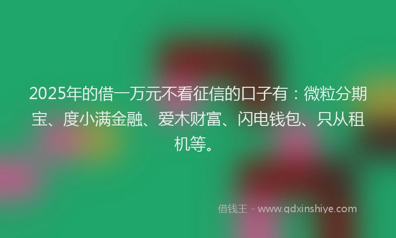 2025年的借一万元不看征信的口子有：微粒分期宝、度小满金融、爱木财富、闪电钱包、只从租机等。