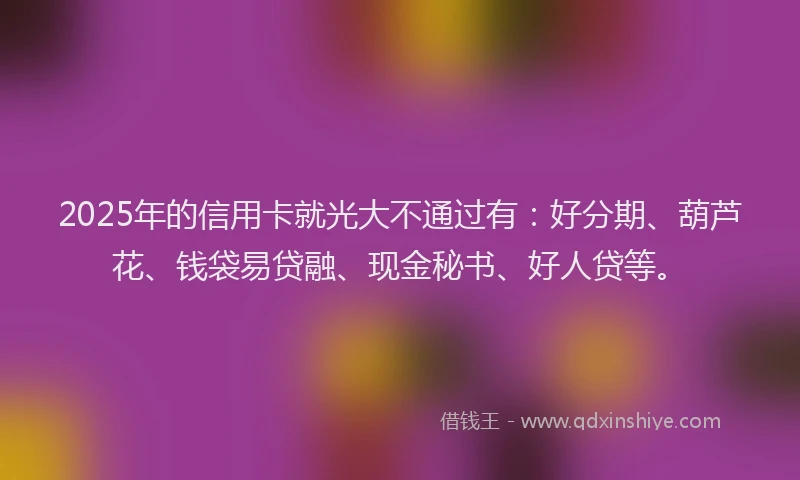 2025年的信用卡就光大不通过有：好分期、葫芦花、钱袋易贷融、现金秘书、好人贷等。