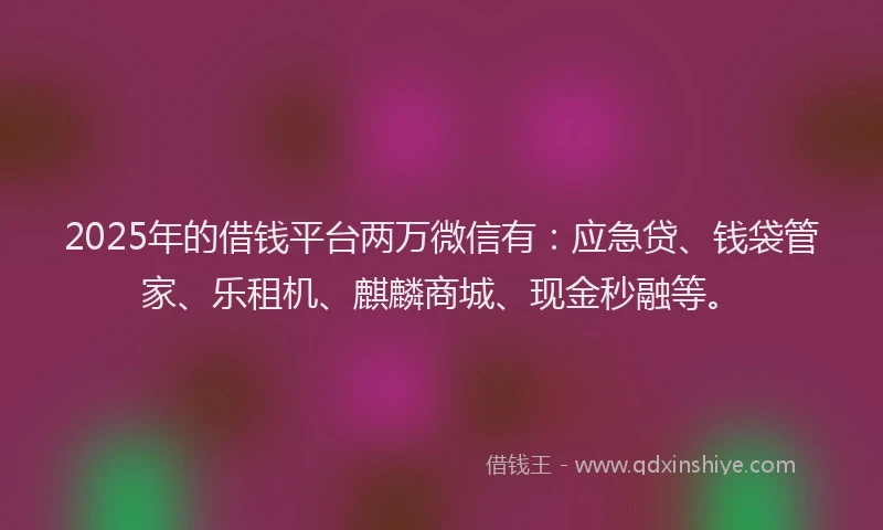 2025年的借钱平台两万微信有：应急贷、钱袋管家、乐租机、麒麟商城、现金秒融等。