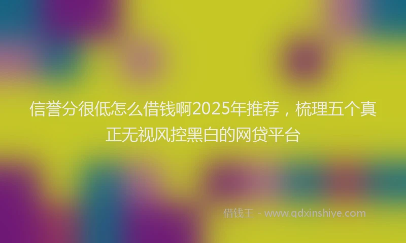 信誉分很低怎么借钱啊2025年推荐，梳理五个真正无视风控黑白的网贷平台