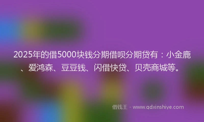 2025年的借5000块钱分期借呗分期贷有：小金鹿、爱鸿森、豆豆钱、闪借快贷、贝壳商城等。