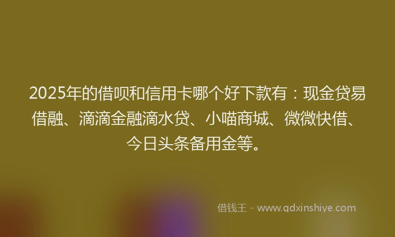 2025年的借呗和信用卡哪个好下款有：现金贷易借融、滴滴金融滴水贷、小喵商城、微微快借、今日头条备用金等。