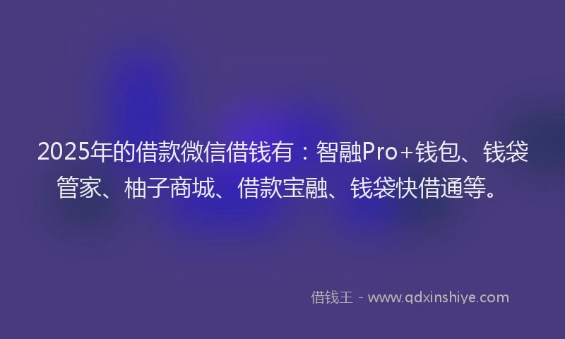 2025年的借款微信借钱有：智融Pro+钱包、钱袋管家、柚子商城、借款宝融、钱袋快借通等。