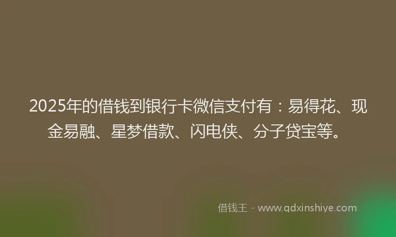 2025年的借钱到银行卡微信支付有：易得花、现金易融、星梦借款、闪电侠、分子贷宝等。