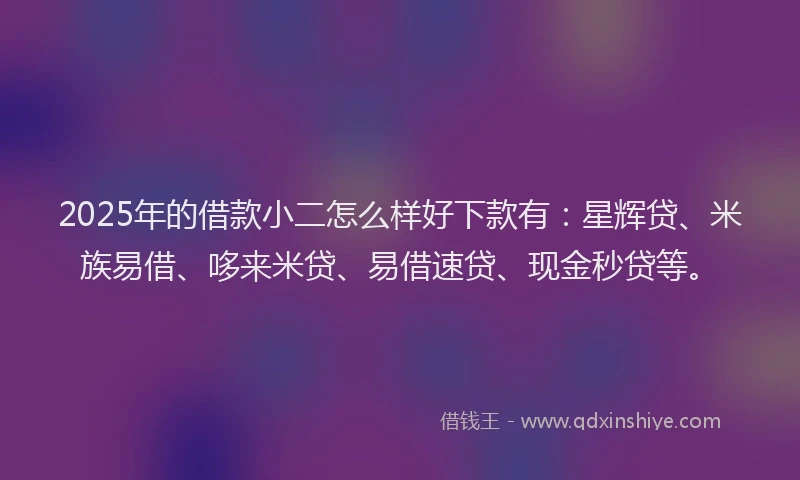 2025年的借款小二怎么样好下款有：星辉贷、米族易借、哆来米贷、易借速贷、现金秒贷等。