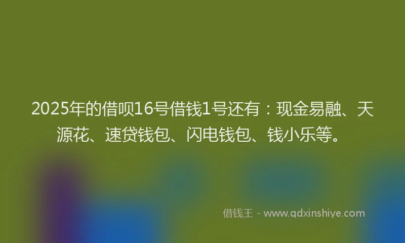 2025年的借呗16号借钱1号还有：现金易融、天源花、速贷钱包、闪电钱包、钱小乐等。