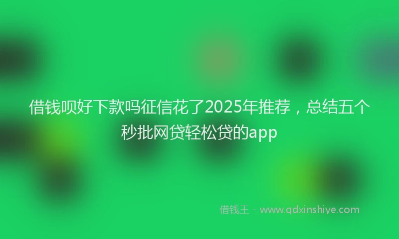 借钱呗好下款吗征信花了2025年推荐,总结五个秒批网贷轻松贷的app