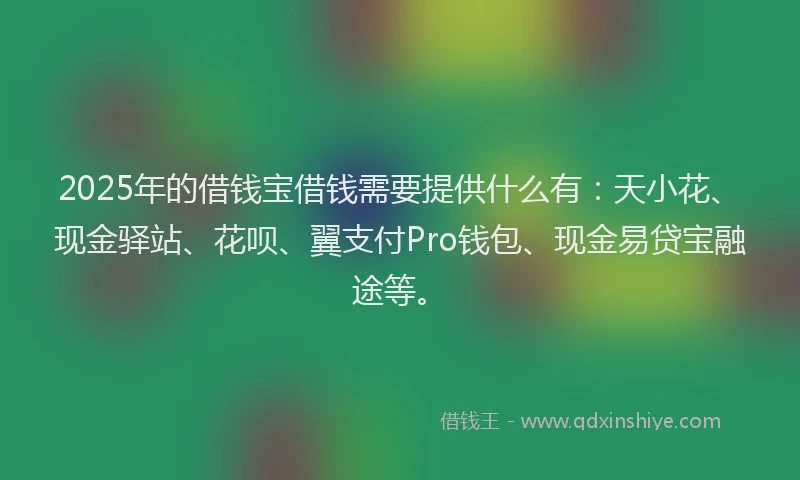 2025年的借钱宝借钱需要提供什么有：天小花、现金驿站、花呗、翼支付Pro钱包、现金易贷宝融途等。