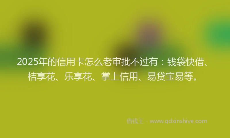 2025年的信用卡怎么老审批不过有：钱袋快借、桔享花、乐享花、掌上信用、易贷宝易等。