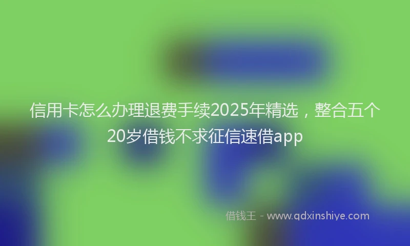 信用卡怎么办理退费手续2025年精选，整合五个20岁借钱不求征信速借app