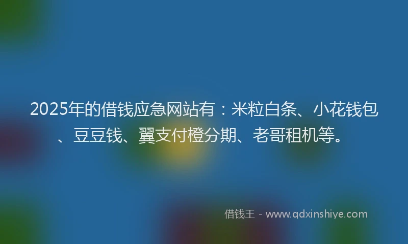 2025年的借钱应急网站有：米粒白条、小花钱包、豆豆钱、翼支付橙分期、老哥租机等。