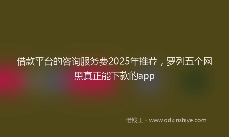 借款平台的咨询服务费2025年推荐，罗列五个网黑真正能下款的app