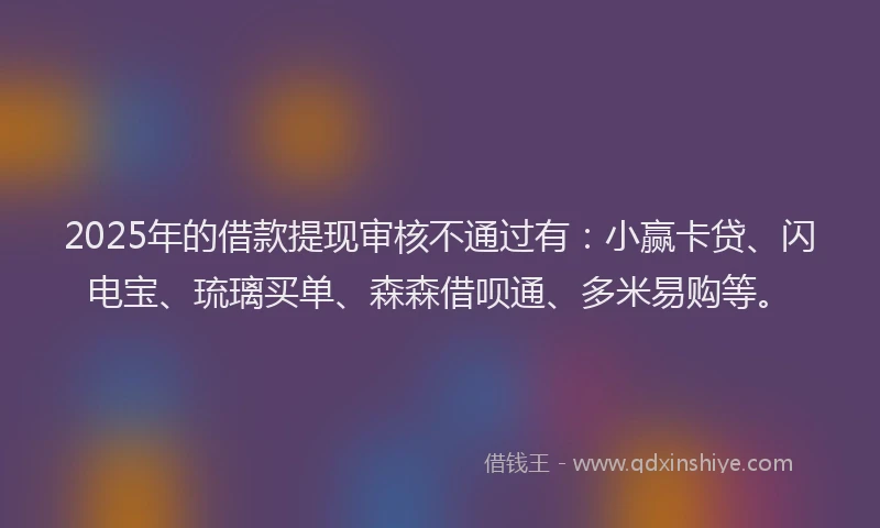 2025年的借款提现审核不通过有：小赢卡贷、闪电宝、琉璃买单、森森借呗通、多米易购等。