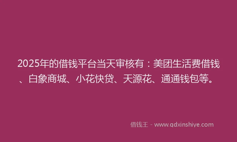 2025年的借钱平台当天审核有：美团生活费借钱、白象商城、小花快贷、天源花、通通钱包等。