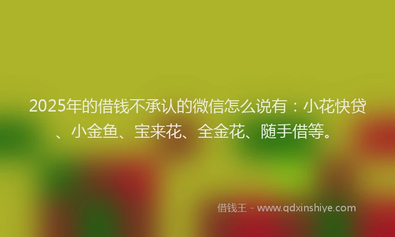 2025年的借钱不承认的微信怎么说有：小花快贷、小金鱼、宝来花、全金花、随手借等。