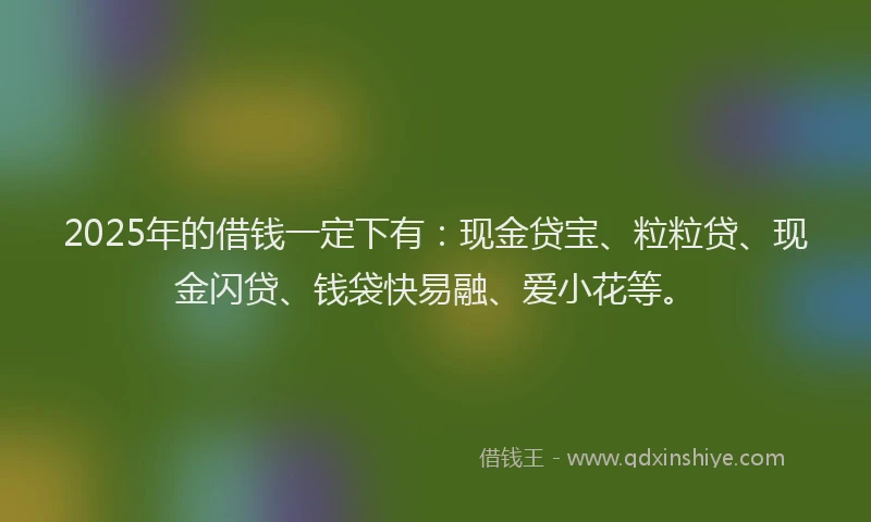 2025年的借钱一定下有：现金贷宝、粒粒贷、现金闪贷、钱袋快易融、爱小花等。