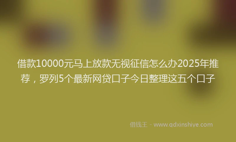 借款10000元马上放款无视征信怎么办2025年推荐,罗列5个最新网贷口子今日整理这五个口子