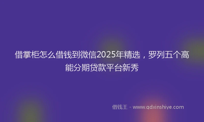 借掌柜怎么借钱到微信2025年精选，罗列五个高能分期贷款平台新秀