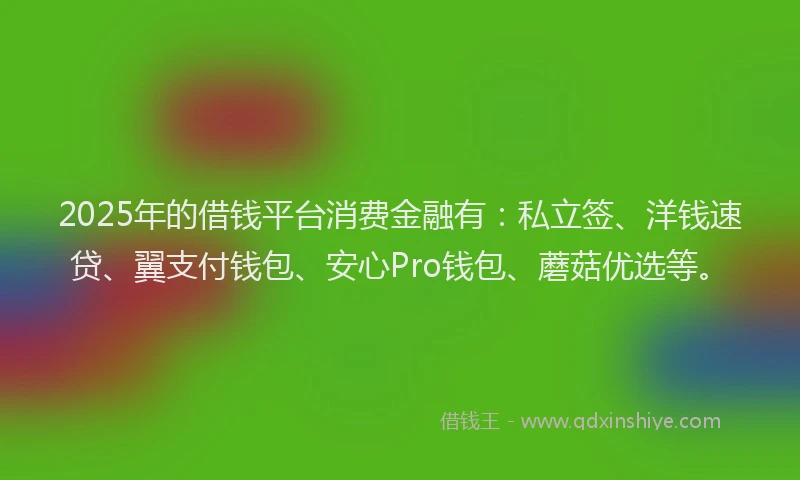 2025年的借钱平台消费金融有：私立签、洋钱速贷、翼支付钱包、安心Pro钱包、蘑菇优选等。