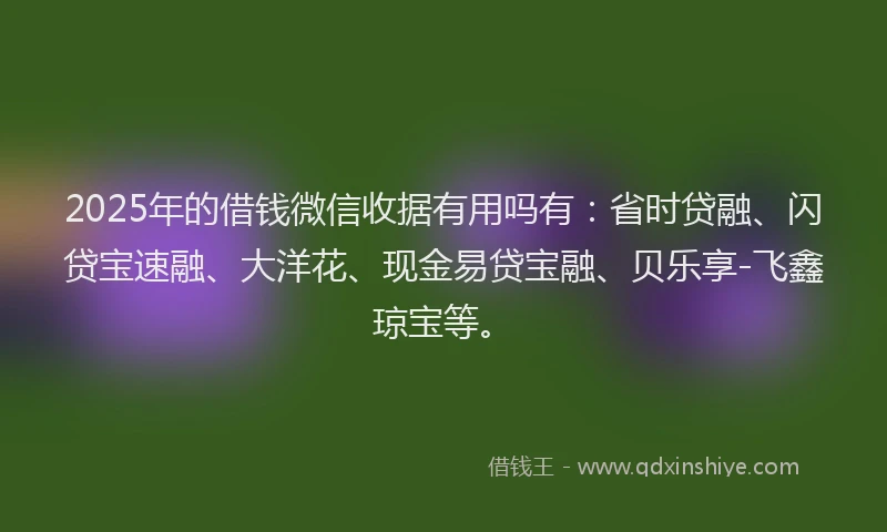 2025年的借钱微信收据有用吗有：省时贷融、闪贷宝速融、大洋花、现金易贷宝融、贝乐享-飞鑫琼宝等。