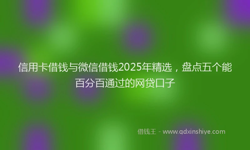 信用卡借钱与微信借钱2025年精选，盘点五个能百分百通过的网贷口子