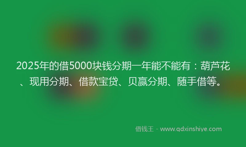 2025年的借5000块钱分期一年能不能有：葫芦花、现用分期、借款宝贷、贝赢分期、随手借等。
