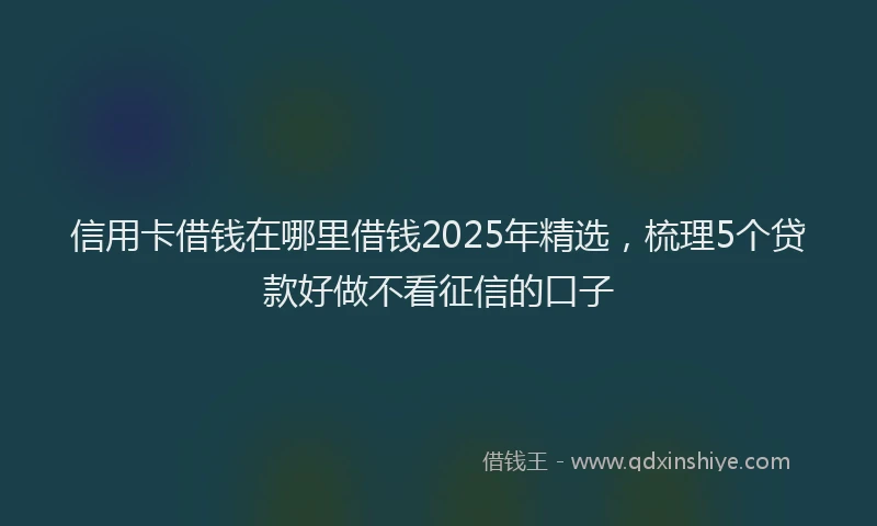 信用卡借钱在哪里借钱2025年精选，梳理5个贷款好做不看征信的口子