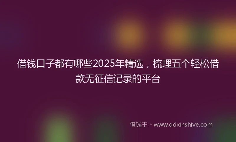 借钱口子都有哪些2025年精选，梳理五个轻松借款无征信记录的平台
