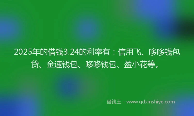 2025年的借钱3.24的利率有：信用飞、哆哆钱包贷、金速钱包、哆哆钱包、盈小花等。