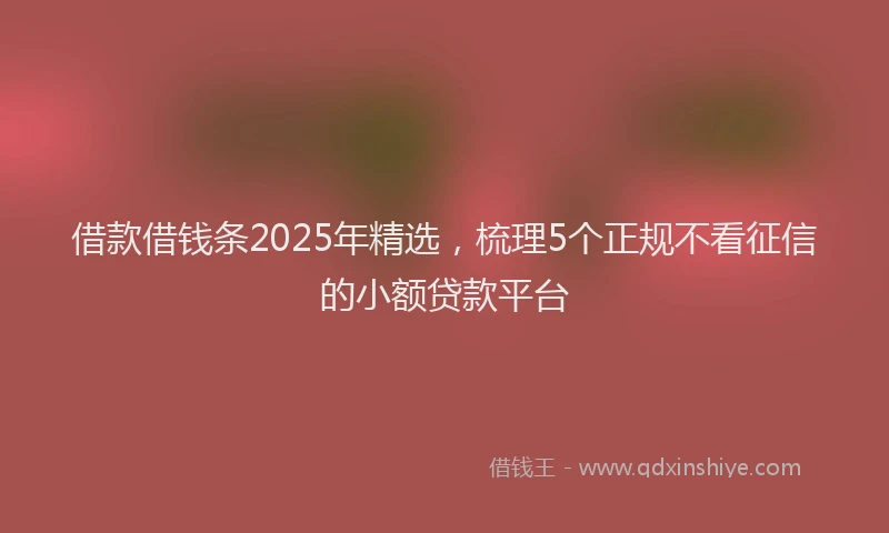 借款借钱条2025年精选，梳理5个正规不看征信的小额贷款平台