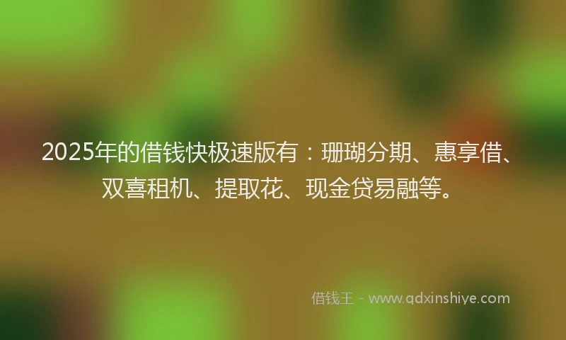 2025年的借钱快极速版有：珊瑚分期、惠享借、双喜租机、提取花、现金贷易融等。