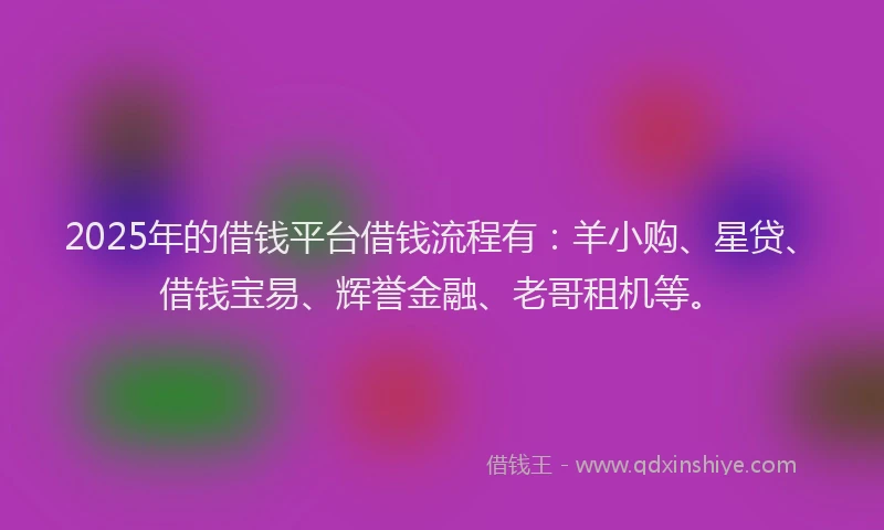 2025年的借钱平台借钱流程有：羊小购、星贷、借钱宝易、辉誉金融、老哥租机等。