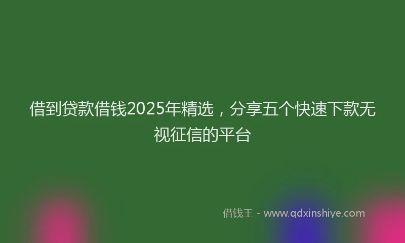 借到贷款借钱2025年精选，分享五个快速下款无视征信的平台