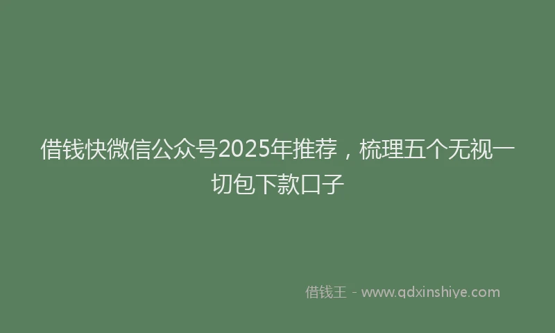 借钱快微信公众号2025年推荐，梳理五个无视一切包下款口子