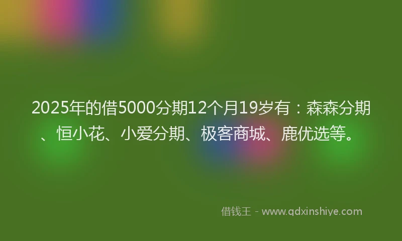 2025年的借5000分期12个月19岁有：森森分期、恒小花、小爱分期、极客商城、鹿优选等。