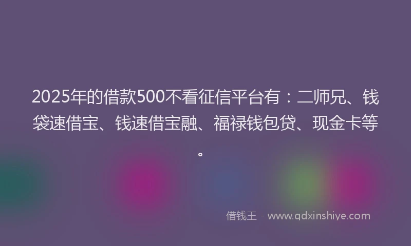 2025年的借款500不看征信平台有：二师兄、钱袋速借宝、钱速借宝融、福禄钱包贷、现金卡等。