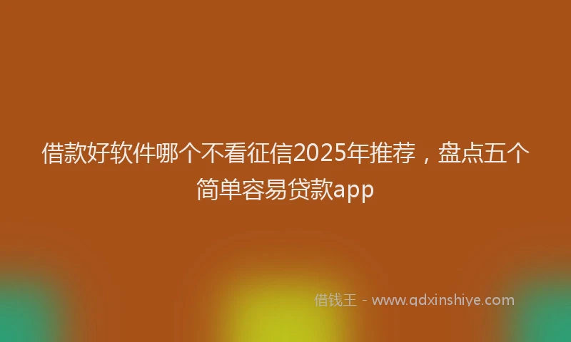 借款好软件哪个不看征信2025年推荐,盘点五个简单容易贷款app