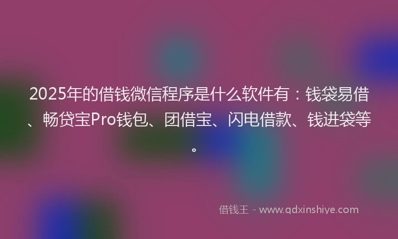 2025年的借钱微信程序是什么软件有：钱袋易借、畅贷宝Pro钱包、团借宝、闪电借款、钱进袋等。