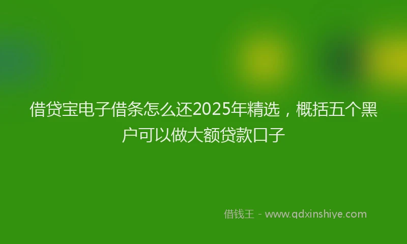 借贷宝电子借条怎么还2025年精选，概括五个黑户可以做大额贷款口子